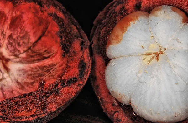 Mangosteen